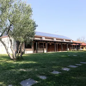 Gioulis & Nea Plagia